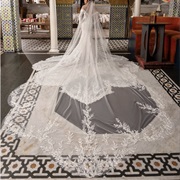 Matching Train and Veil Shapes