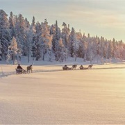 Work a Season in Lapland