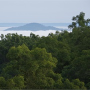Majang Forest Biosphere Reserve, Ethiopia
