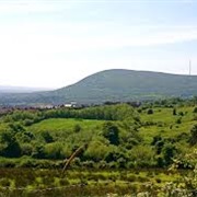 Black Mountain, Belfast
