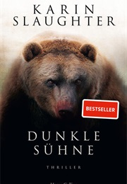 Dunkle Sühne / North Falls #1 (Karin Slaughter)