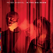 In the Big Room - Peter Gabriel