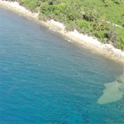 Found in the Babar Islands