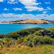 Hokianga