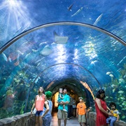 Audubon Aquarium & Insectarium