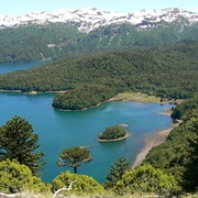 Araucarias Biosphere Reserve, Chile