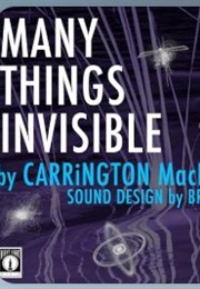 Many Things Invisible (Carrington MacDuffie)