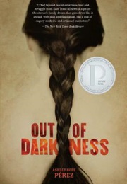 Out of Darkness (Ashley Hope Pérez)
