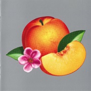 Phoenix – Bankrupt!