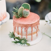 Cactus on Top of Cake