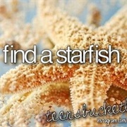 Find a Starfish