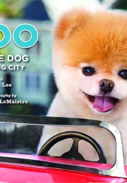 Boo: Little Dog in the Big City (J. H. Lee)