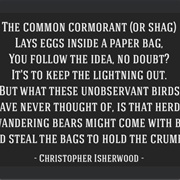 The Common Cormorant by Christopher Isherwood