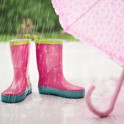 Check the Weather Forecast