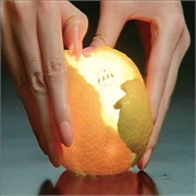 National Lightbulbs: 'Menu of Lights"