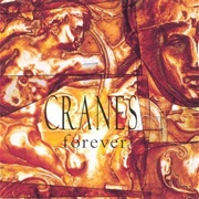 Cranes - Forever