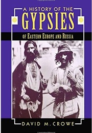 A History of the Gypsies of Eastern Europe and Russia (David M. Crowe)