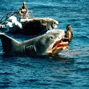 Jaws: The Revenge (1987) – Hunting a Shark for Revenge