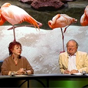 S6.E10: Flora and Fauna