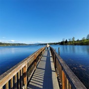 Audubon Bird Loop, Marymoor Park, Redmond