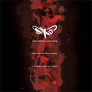 A Bright Celestial Light - The Moth Gatherer (2013)