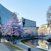 Königsallee, Düsseldorf