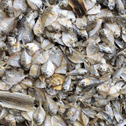 Sun-Dried Fish