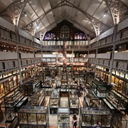 Pitt Rivers Museum, Oxford, UK