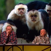 S13.E6: Marriage and Mating