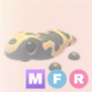 ᵐᵉᵍᵃ ᵍⁱˡᵃ ᵐᵒⁿˢᵗᵉʳ ･､