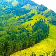 Hanthana Mountains, Sri Lanka