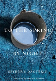 To the Spring, by Night (Seyhmus Dagtekin)