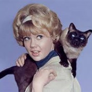 Hayley Mills as Patti (That Darn Cat)