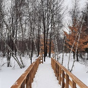 Parc Des Étangs Antoine-Charlebois, Sainte-Julie
