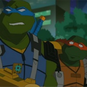 S4.E23: Adventures in Turtle Sitting