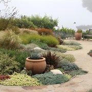 Xeriscape