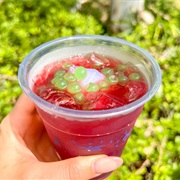 Paleontology Lemonade