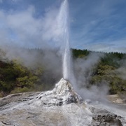 Lady Knox Geyser, Waiotapu, New Zealand