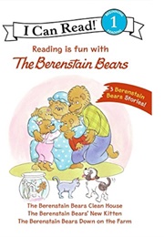 Reading Is Fun With the Berenstain Bears (Stan & Jan With Mike Berenstain)