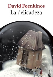 La Delicadeza (David Foenkinos)