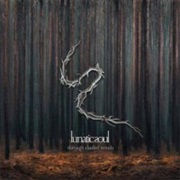 Through Shaded Woods - Lunatic Soul (2020)