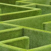 Hedge Maze
