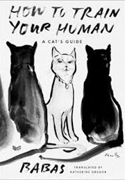 How to Train Your Human (Babas)