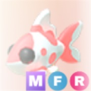 ･､ᵏᵒⁱ ᶠⁱˢʰ