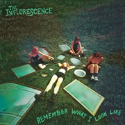 Remember What I Look Lik