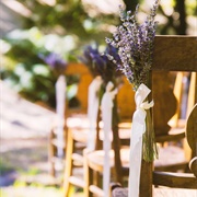 Fragrant Herbs Tied to Chairs