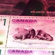 S7.E12: Drill Bits/Photo Booths/Stamps