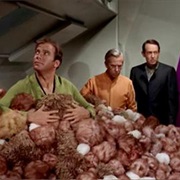 S2.E15: The Trouble With Tribbles