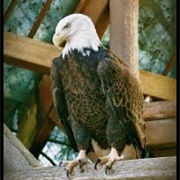 Holtsville Wildlife and Ecology Center