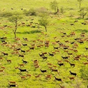 Bandingalo National Park